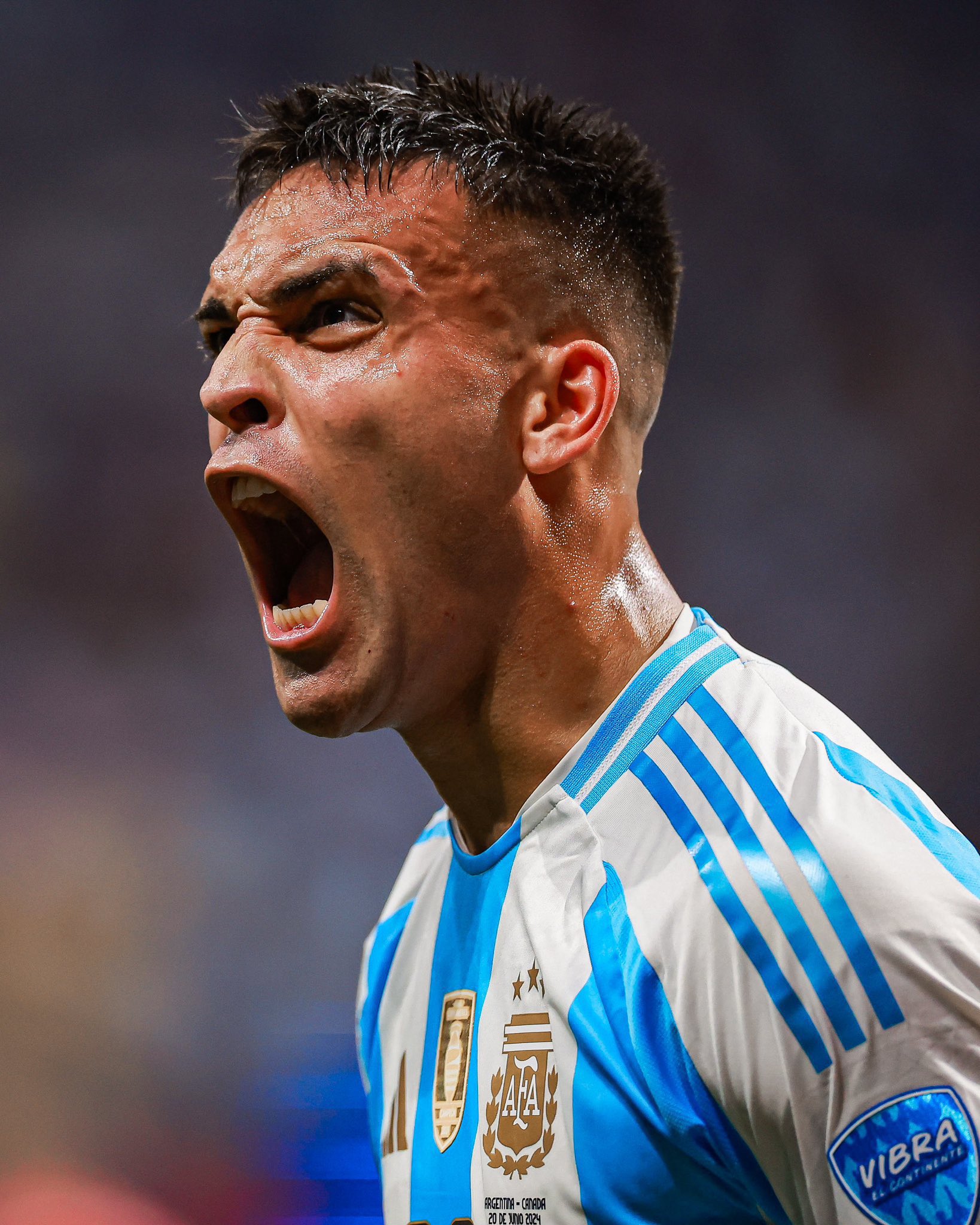 包含美洲大区赛事精彩纷呈，球员表现出色的词条